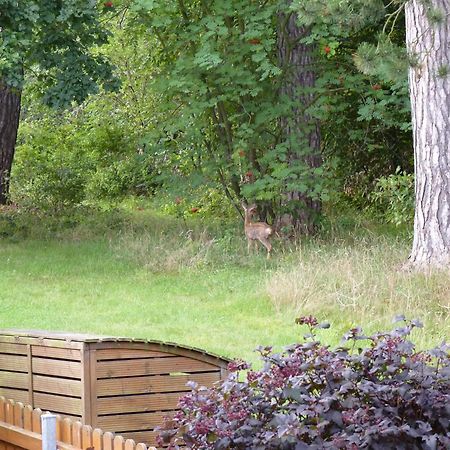 Ferienwohnung Im Wald Mit Kamin บัดฮาร์ซบวร์ก ภายนอก รูปภาพ